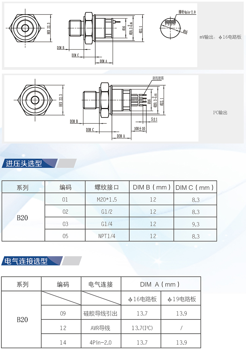 B20 2.jpg